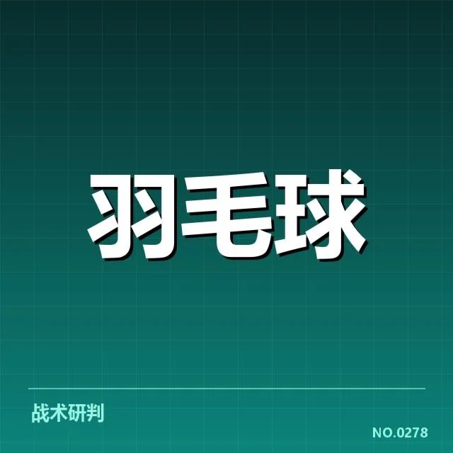 国羽国际赛判罚争议:裁判尺度,国羽国际赛判罚争议背景回顾
